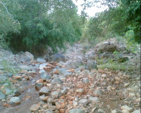 ilog.jpg